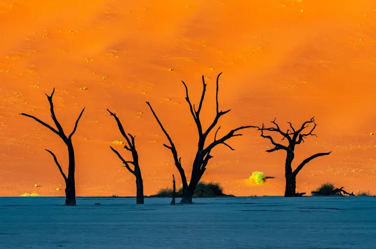 Finding Inspiration in Simple Spaces and Quiet Moments