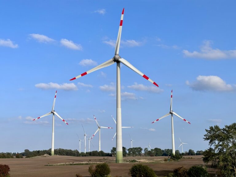 Germany Launches 2.97 GW Renewable Energy Tenders for 2026