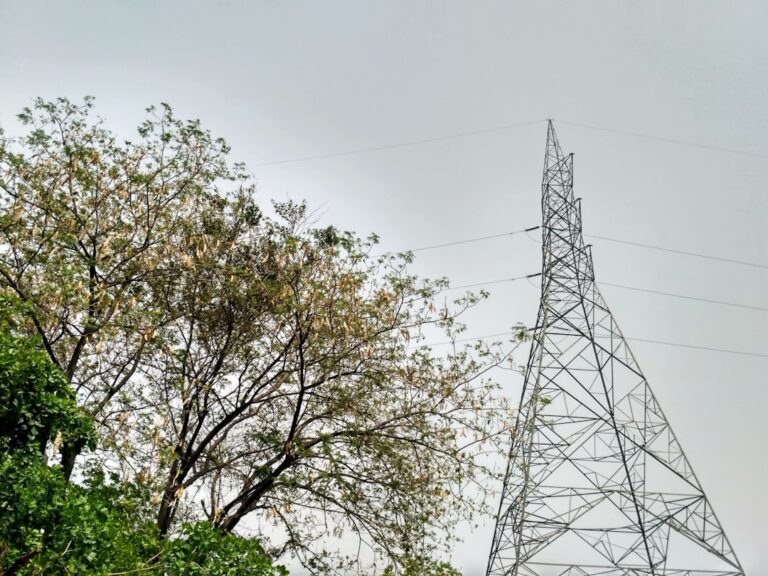 Uttar Pradesh Solar Capacity Hits 5 GW, Targets 22 GW Milestone