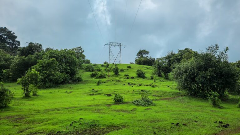 MAHAGENCO-NTPC Green JV Seeks 10,000 Acres for Maharashtra Renewable Projects
