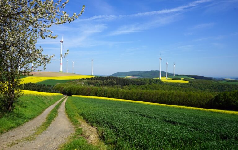 German Rooftop Solar Tender Undersubscribed While Wind Capacity Sees Record Interest