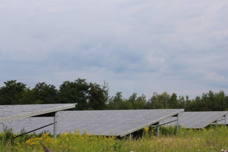 Study Validates Performance of 23-Year-Old Second-Life Solar Modules