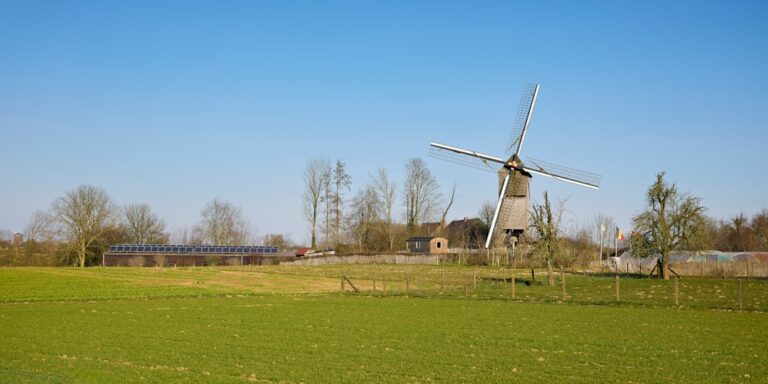 Ceigall India Executes 130 MW Solar PPAs for Madhya Pradesh Agriculture